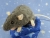 Blue Grey Berkshire Rat Plushie