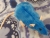 Blue Rat Plushie