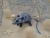 Blue Snow & Wind Mouse/Rat Ornament