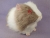 Big Lilac Grey Dutch Guinea Pig Plushie