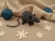 Dark Blue Checkered Mouse/Rat Ornament