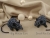 Dark Blue Checkered Mouse/Rat Ornament