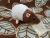 Dark Brown Bareback Rat Plushie