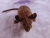Dark Brown Mouse Plushie