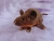 Dark Brown Mouse Plushie with Tan Belly