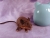 Dark Brown Mouse Plushie with Tan Belly