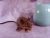 Dark Brown Mouse Plushie with Tan Belly