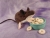 Dark Brown Mouse Plushie with White Belly