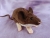 Dark Brown Mouse Plushie with White Belly
