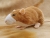 Fawn Blazed Rat Plushie