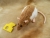 Fawn Hooded Rat Plushie