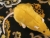 Gold Rat Plushie