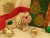 Gold, Red, & Green Snowflakes Guinea Pig Ornament