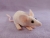 Hairless Mouse Plushie