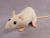 Hairless Rat Plushie