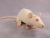 Hairless Rat Plushie