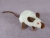 Himalayan Mouse Plushie