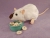 Himalayan Rat Plushie