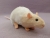 Ivory Bareback Rat Plushie