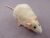 Ivory Blazed Rat Plushie
