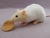 Ivory Capped Rat Plushie