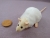 Ivory Capped Rat Plushie