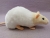 Ivory Capped Rat Plushie