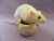 Ivory Half-Hooded Rat Plushie
