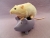 Ivory Hooded Rat Plushie