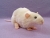 Ivory Rat Plushie