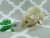 Light Green Rat Plushie