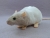 Light Grey Bareback Rat Plushie