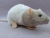 Light Grey Bareback Rat Plushie