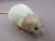Light Grey Bareback Rat Plushie