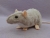 Light Grey Berkshire Rat Plushie