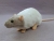 Light Grey Capped Rat Plushie