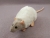 Light Grey Capped Rat Plushie