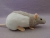Light Grey Hooded Rat Plushie
