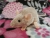 Light Pink Mouse Plushie