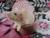 Light Pink Mouse Plushie with White Belly