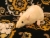 Little Yellow Rat Plushie