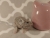 Lilac Grey Mouse Plushie