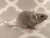 Lilac Grey Mouse Plushie