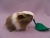Little Agouti Dutch Guinea Pig Plushie