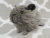Little Agouti Grey Guinea Pig Plushie