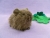 Little Agouti Guinea Pig Plushie
