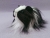 Little Black Dutch Longhaired Guinea Pig Plushie