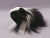 Little Black Dutch Longhaired Guinea Pig Plushie