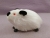 Little Black Himalayan Guinea Pig Plushie