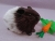 Little Black Roan Guinea Pig Plushie